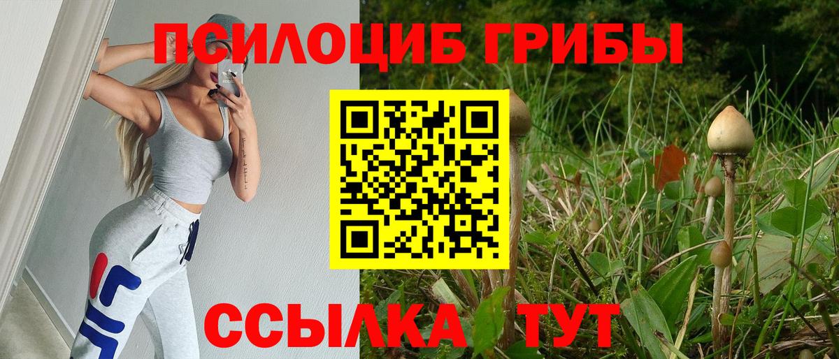Псилоцибиновые грибы MAGIC MUSHROOMS Лесозаводск